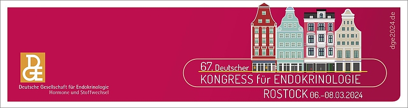 rotes Bild mit gemalten historischen Häusern, Endokrinologie der Uniklinik Rostock