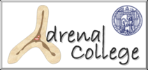 Logo Adrenal college, Endokrinologie der Uniklinik Rostock