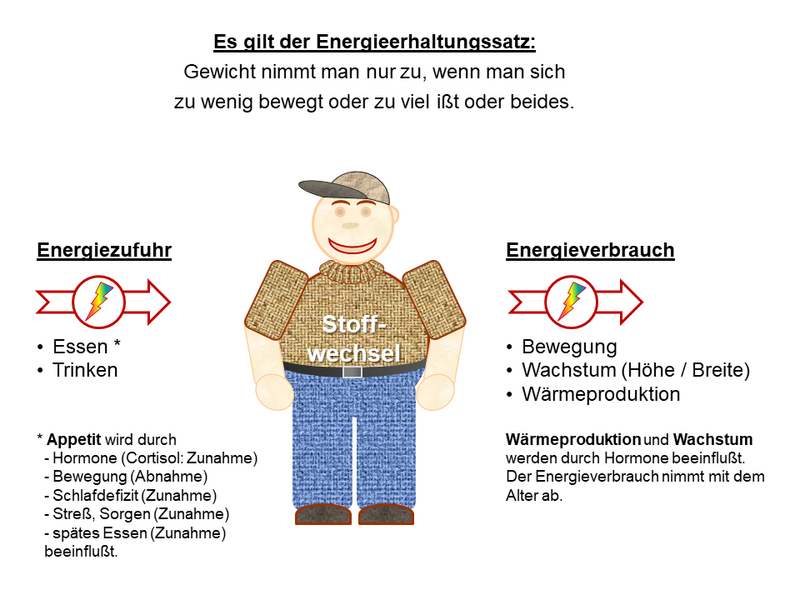 Grafik Energieerhaltung, Endokrinologie der Uniklinik Rostock