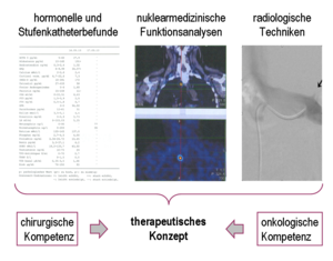 Flyer, Endokrinologie der Uniklinik Rostock 