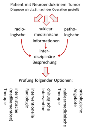 Grafik Ablauf von der Diagnose bis zu Behandlungsoptionen, Endokrinologie der Uniklinik Rostock 