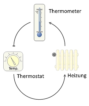 Grafik mit Thermometer, Endokrinologie der Uniklinik Rostock 